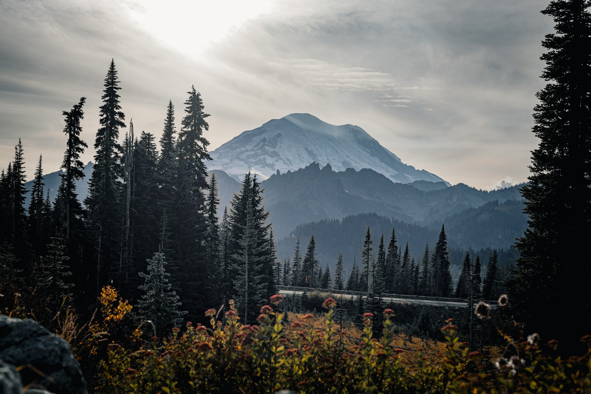 Mountain above a wildflower meadow