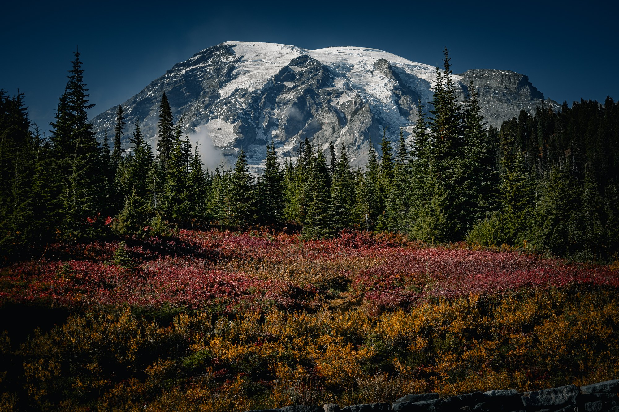 Wildflower field beneath a mountain