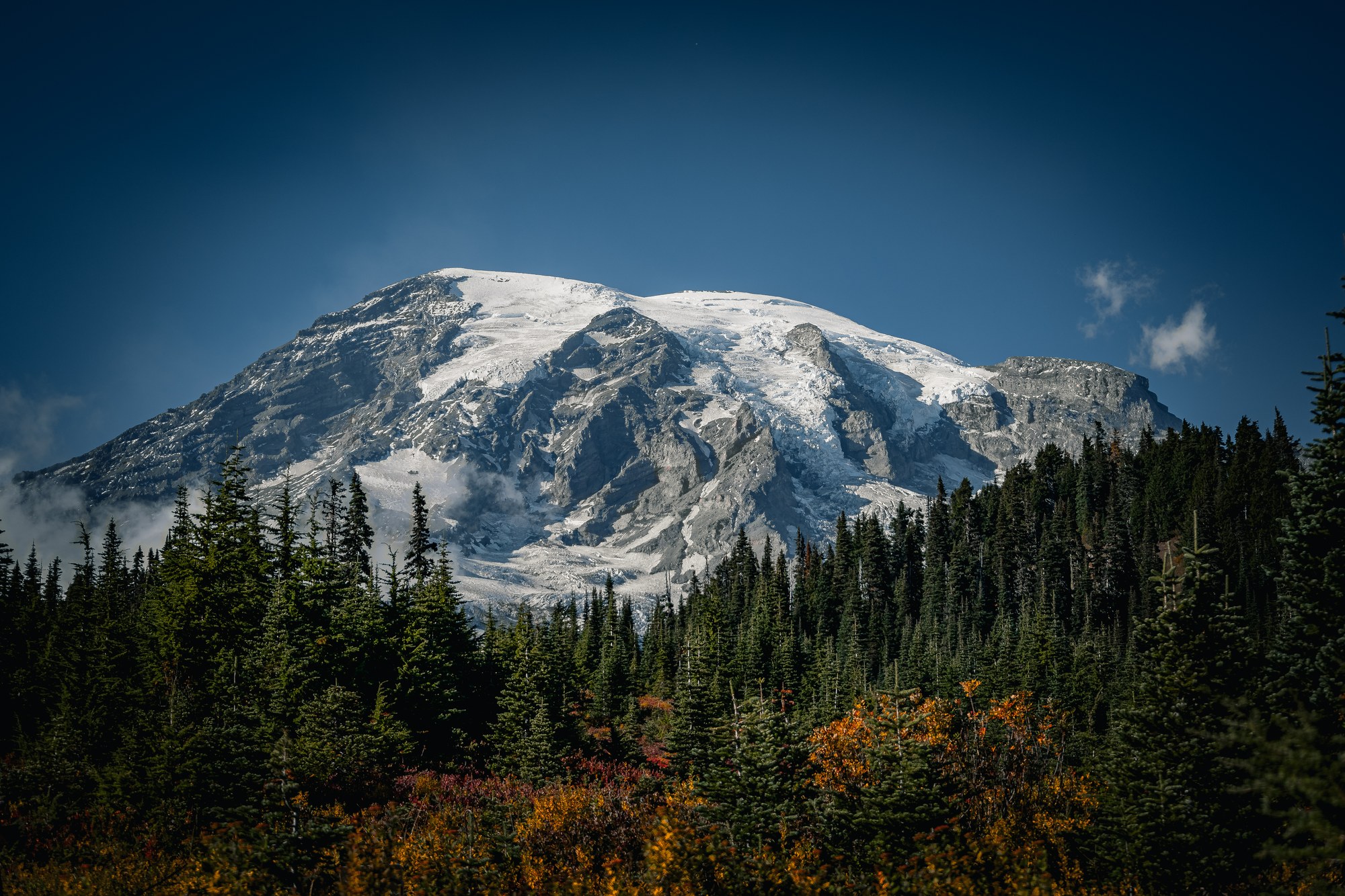 Mountain and forest in autumn